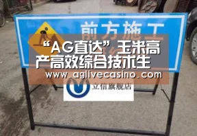 “AG直达”玉米高产高效综合技术生产研究取得成效