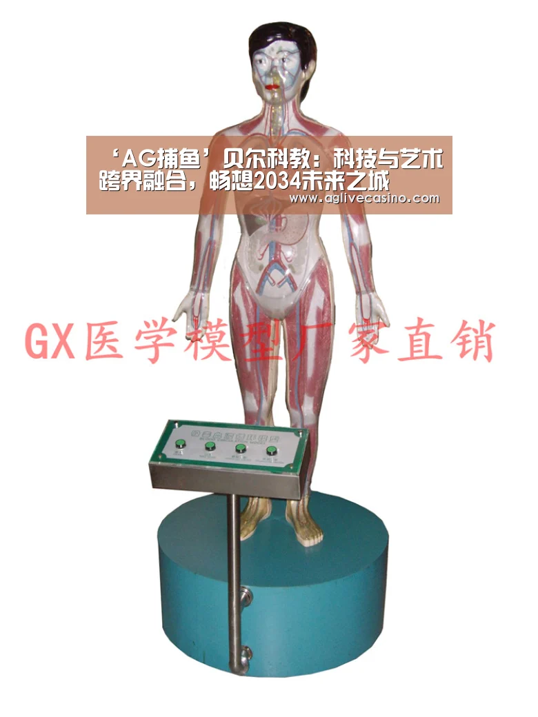 ‘AG捕鱼’贝尔科教：科技与艺术跨界融合，畅想2034未来之
