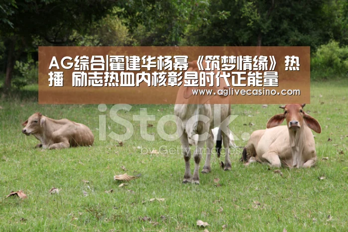 AG捕鱼