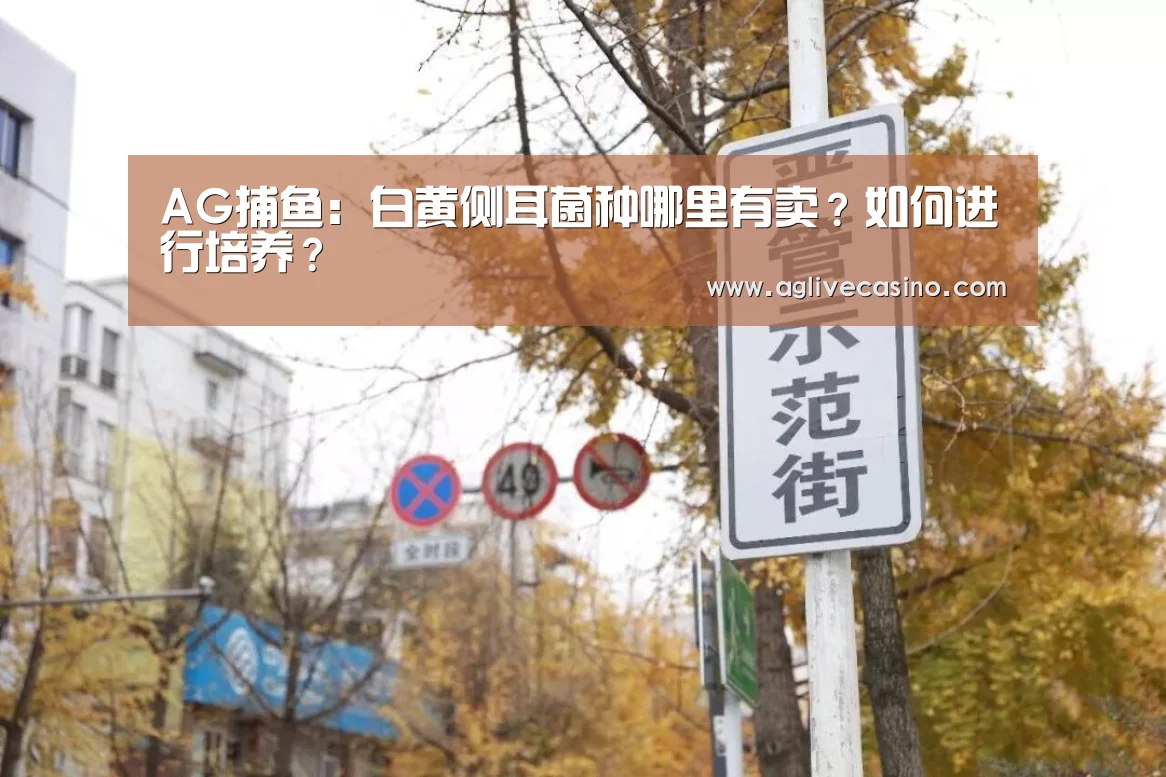 AG捕鱼：白黄侧耳菌种哪里有卖？如何进行培养？